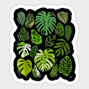 Monstera Varieties Albo Deliciosa Thai Con Plant Lover Sticker